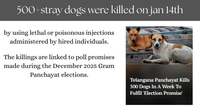 500+ stray dogs were poisoned